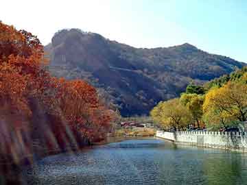 管家婆黑白马报图库，泛站群程序